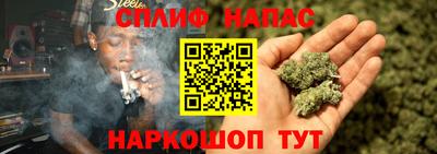 прущие грибы Апшеронск